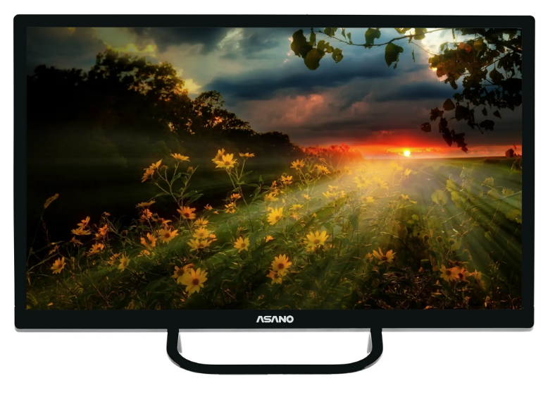 Телевизор Asano 24LH1110T