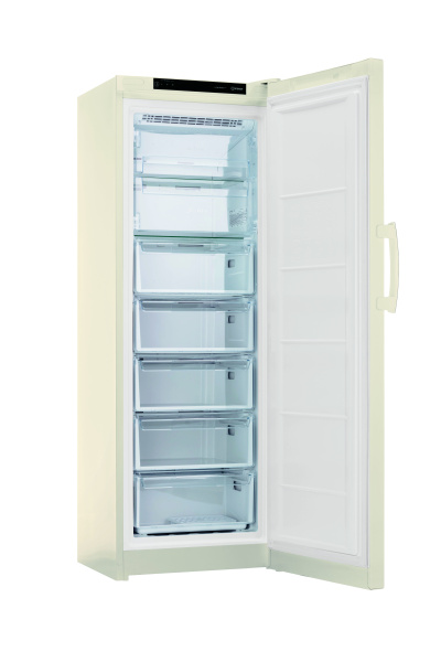 Морозильник Indesit DFZ 5175 E