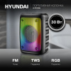 Портативная акустика Hyundai H-PS1006